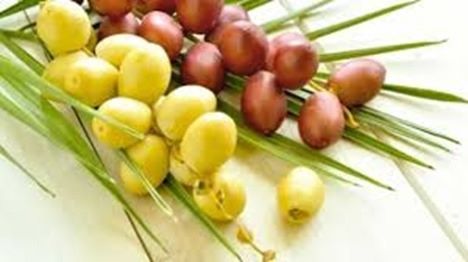 Konsumsi Kurma Muda, Manfaatnya Antara Mitos dan Fakta