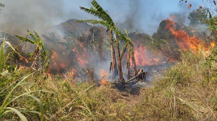 Gunung Penanggungan Terbakar, 85 Personel Gabungan Diterjunkan