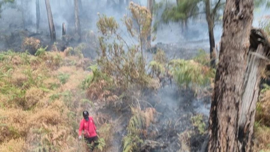 Hujan di Pacet dan Trawas Bantu Padamkan Titik Api Karhutla di Lereng Welirang Mojokerto
