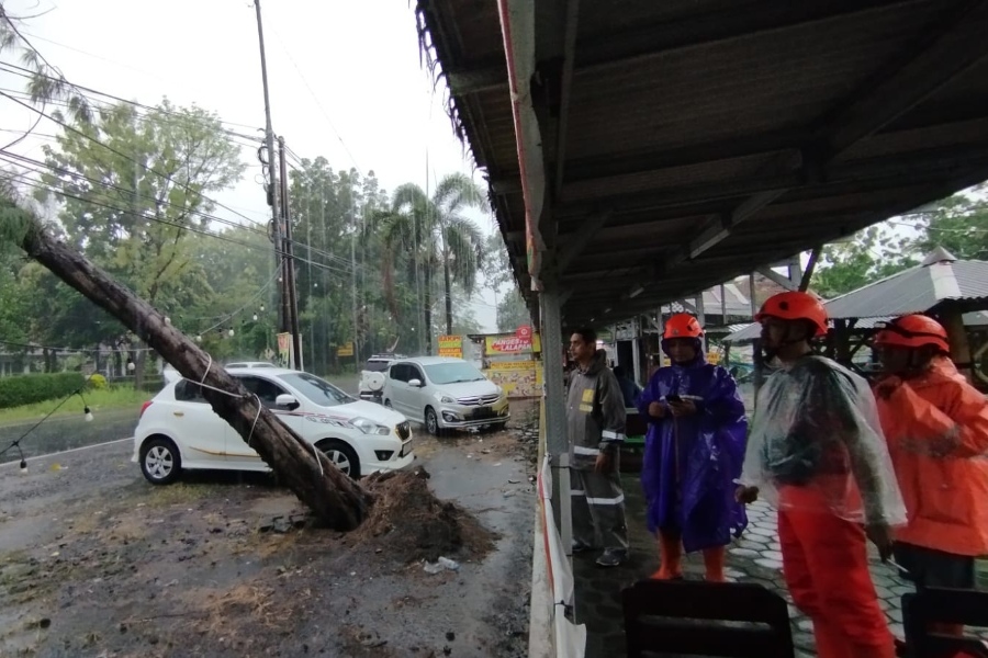 Di Jember, Angin Kencang dan Longsor Terjang 4 Kecamatan, 14 Rumah Rusak Ringan