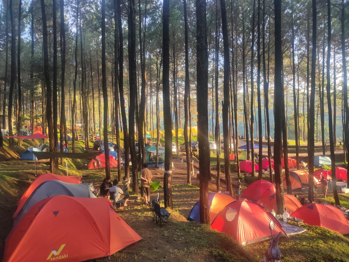 Wisata Alas Veenuz, Tempat Berkemah di Tengah Hutan Pinus dengan Pemandangan Gunung Welirang