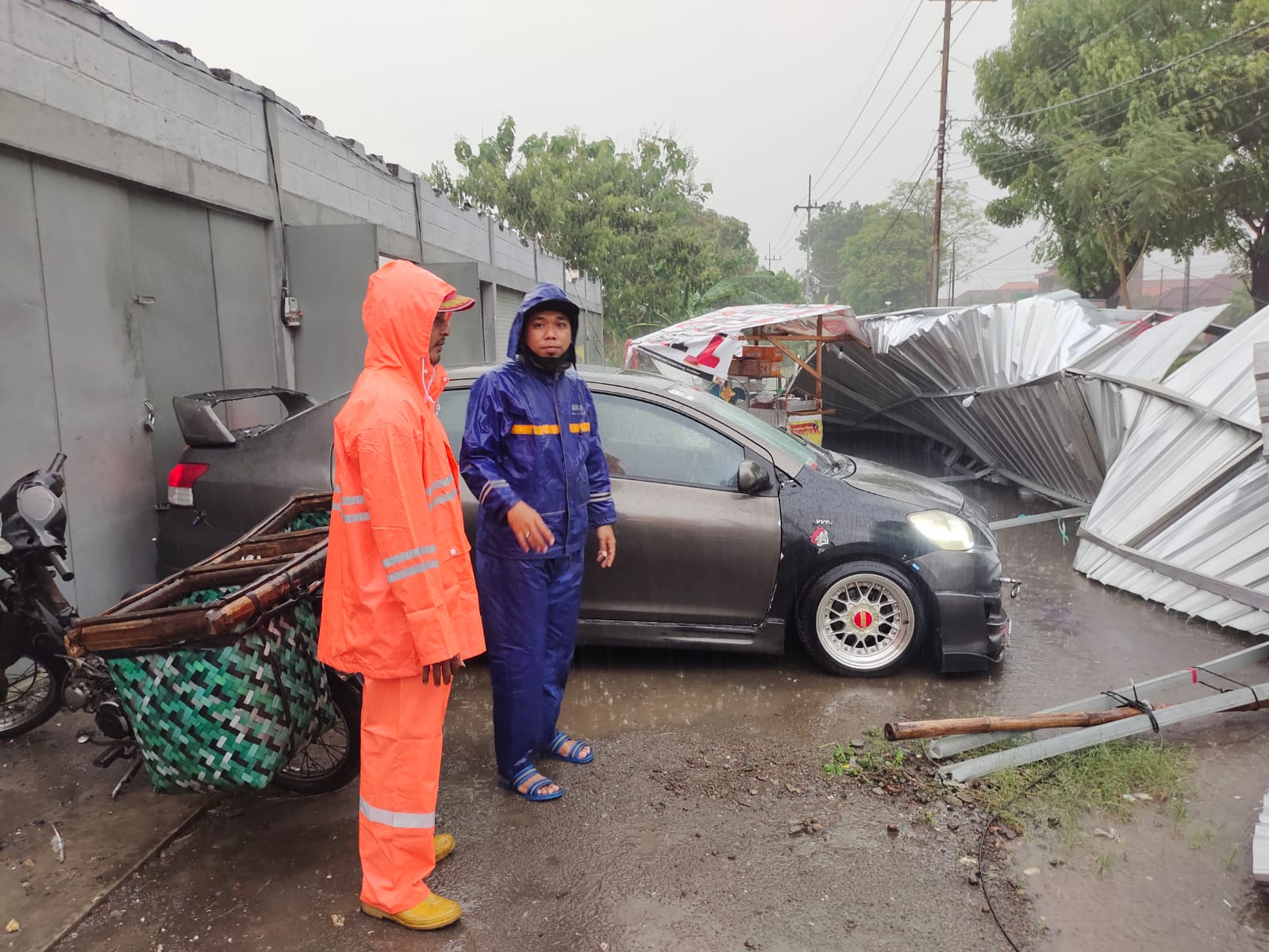 Hujan Deras Disertai Angin Kencang Melanda Mojokerto, Akibatkan Pepohonan Tumbang   