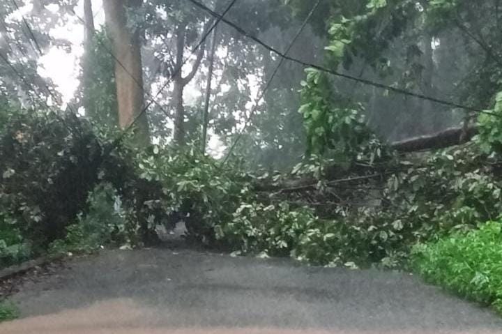 Waspada Cuaca Ekstrem di Mojokerto pada 13 hingga 19 November 2025