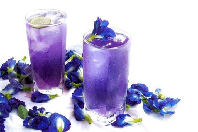 Minuman Bunga Telang dengan Warna Eksotis, Mudah Dibuat Berjuta Manfaat