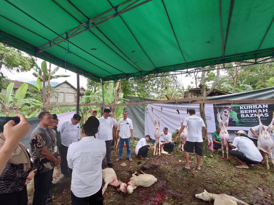 Kurban Berkah Baznas RI di Mojokerto, 90 Ekor Kambing Disembelih