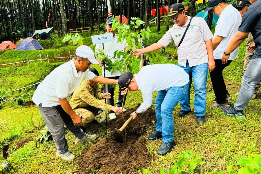 Tanam 1000 Pohon di Ultah Ke-3 Veenuz Trawas , Bupati Mojokerto Sebut Investasi Masa Depan
