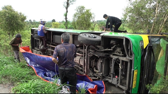 Hindari Pemotor, Bus Trans Jatim koridor III Terguling di Kebun Cabai 