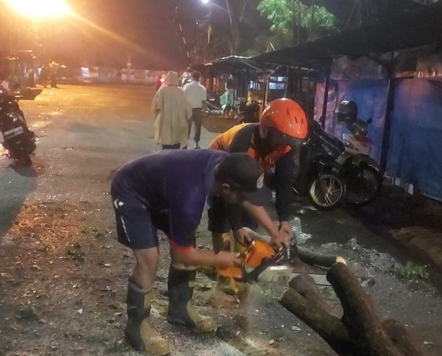 Dahan Pohon Patah Akibat Angin Kencang di Mojokerto, Satu Warung Rusak dan Satu Orang Terluka