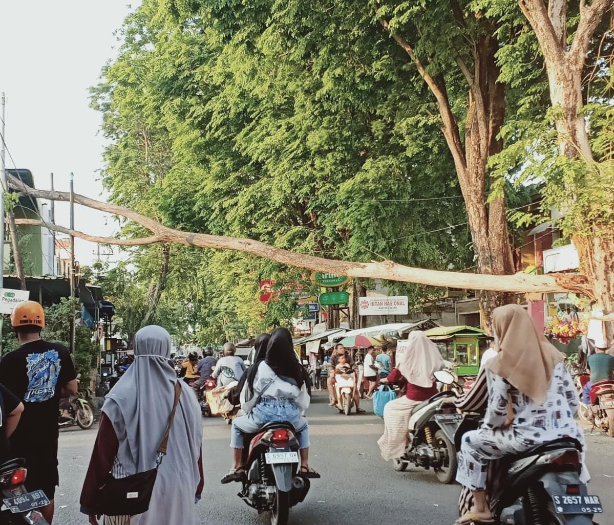 Angin Kencang, Dahan Pohon Kesono di Mojosari Patah, Timpa Ruko dan Kabel Listrik