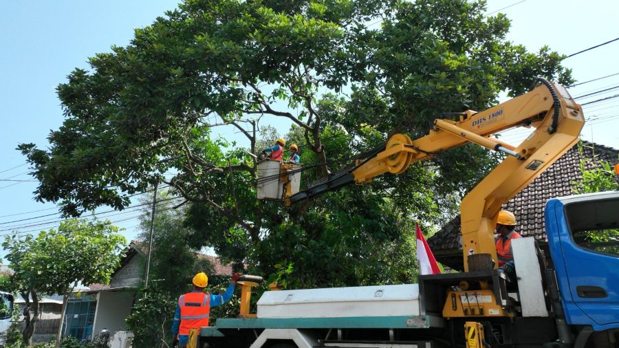Sambut HUT RI ke-80, PLN Gelar Pemeliharaan Tanpa Padam di Berbagai Wilayah