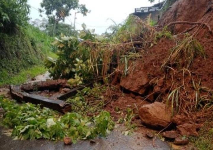 Cuaca Ekstrem, Longsor dan Pohon Tumbang Landa Dua Titik di Trawas Mojokerto 