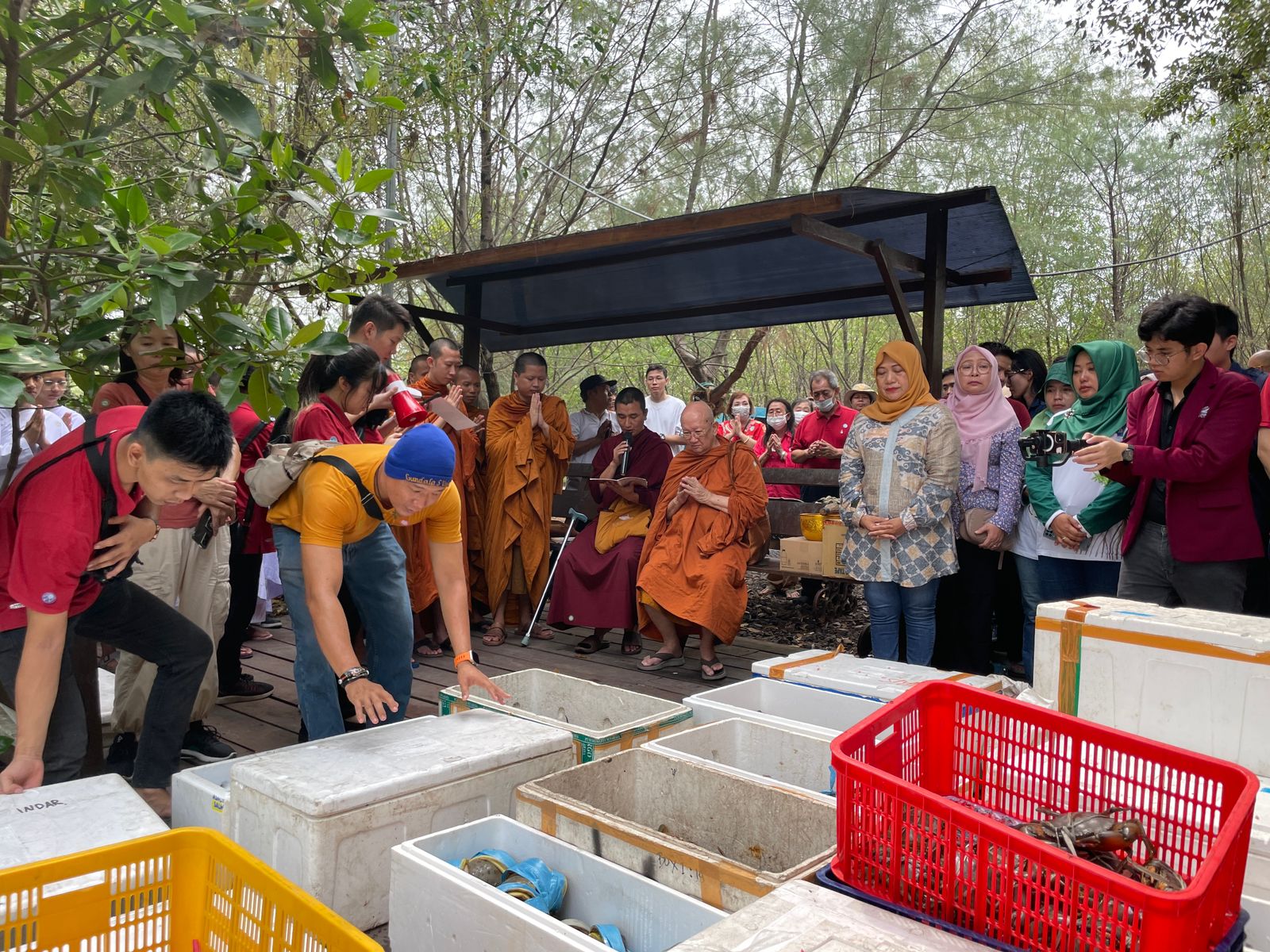 Ribuan Satwa Dilepas ke Mangrove Gunung Anyar oleh Young Budhhist Association dan Ecoton