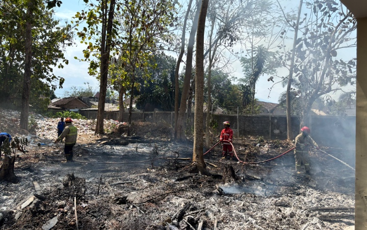 Ilalang Kering di Lahan Polije Jember Terbakar, Api Menghanguskan 30 Meter Persegi