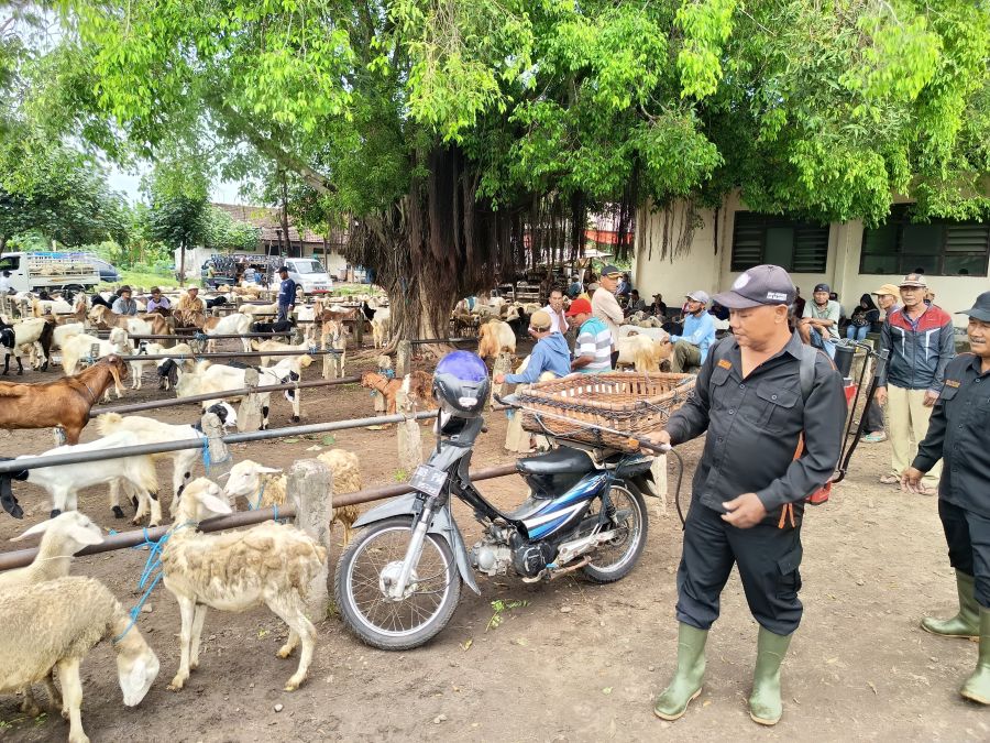 Cegah Penyebaran PMK, Pasar Hewan di Mojokerto  Disemprot Disinfektan