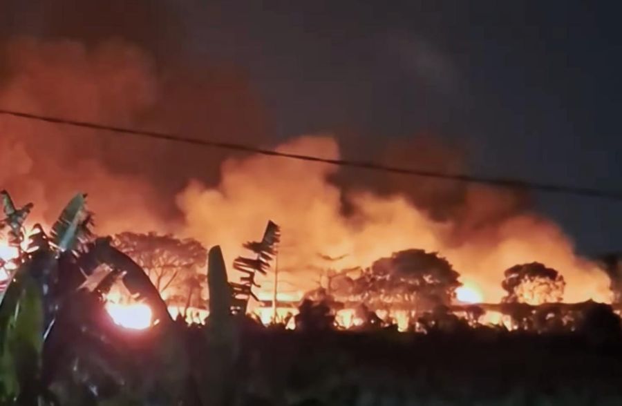 Bangunan dan Kandang Ayam di Mojokerto Ludes Dilalap Si Jago Merah, 50 Ribu Ayam Hangus Terbakar