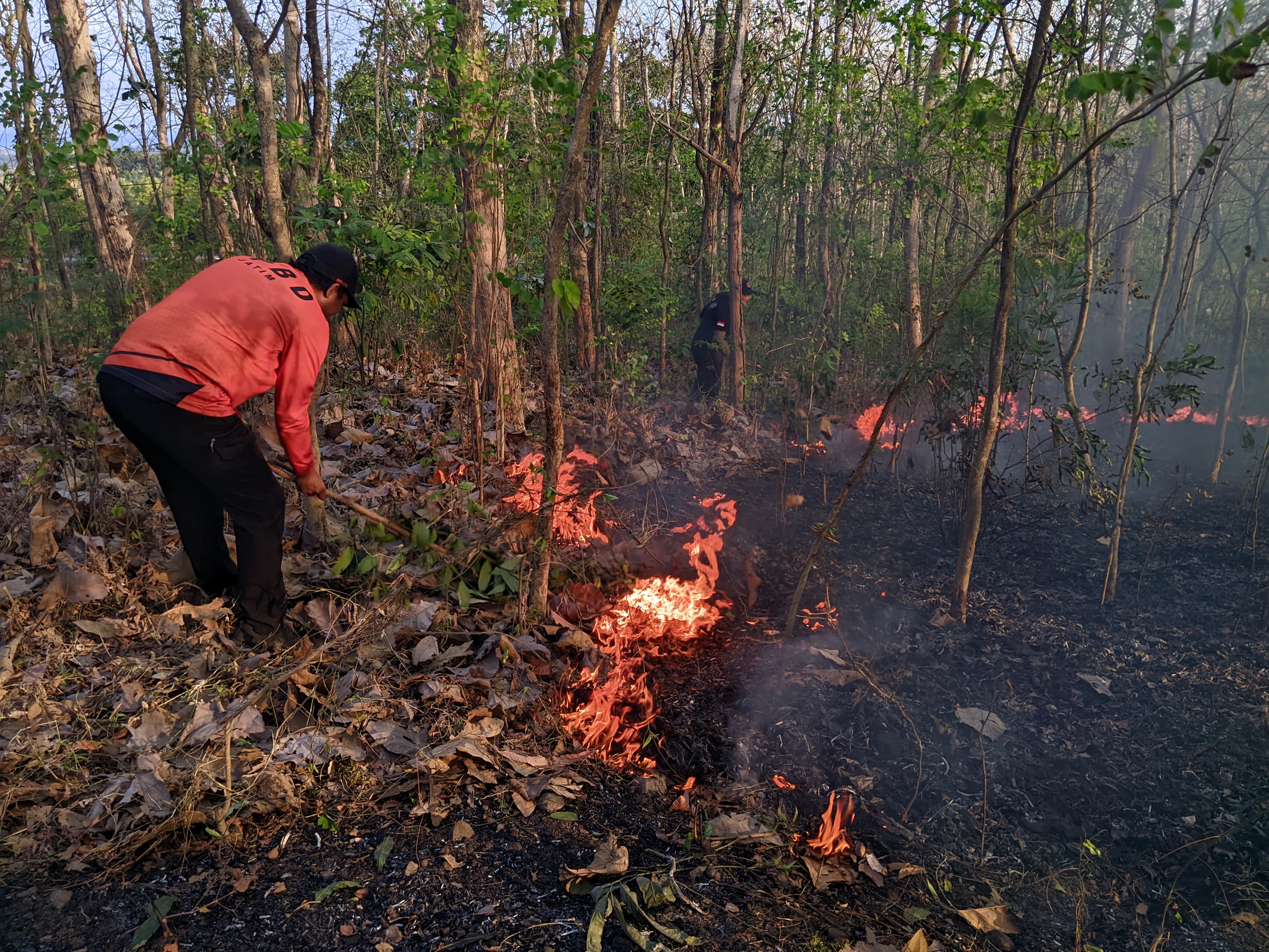 Karhutla Melanda Kawasan Hutan di Jetis Mojokerto