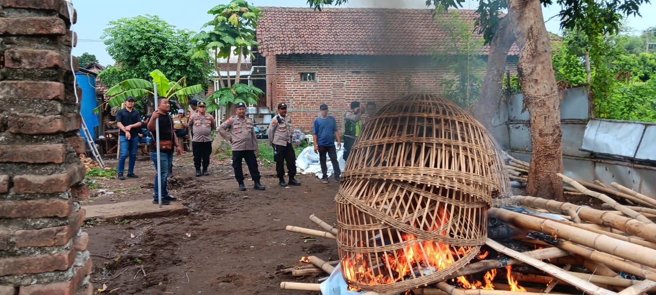 Arena Judi Sabung Ayam di Pungging Mojokerto Digrebek Polisi