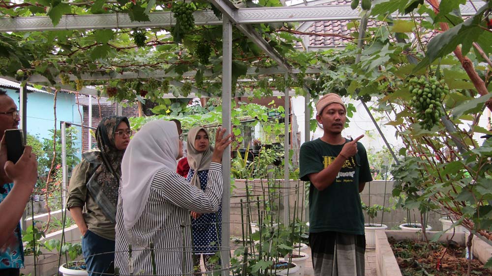 Bupati Ikfina Resmikan Kampung Anggur Majapahit 3 