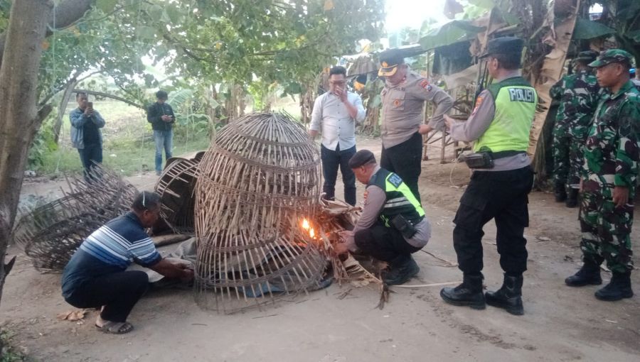 Petugas Gabungan Gerebek dan Bakar Arena Judi Sabung Ayam di Ngoro Mojokerto