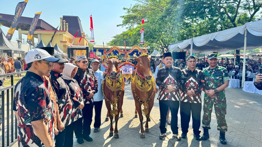 Pemprov Jatim Terus Lestarikan Budaya Karapan Sapi Madura