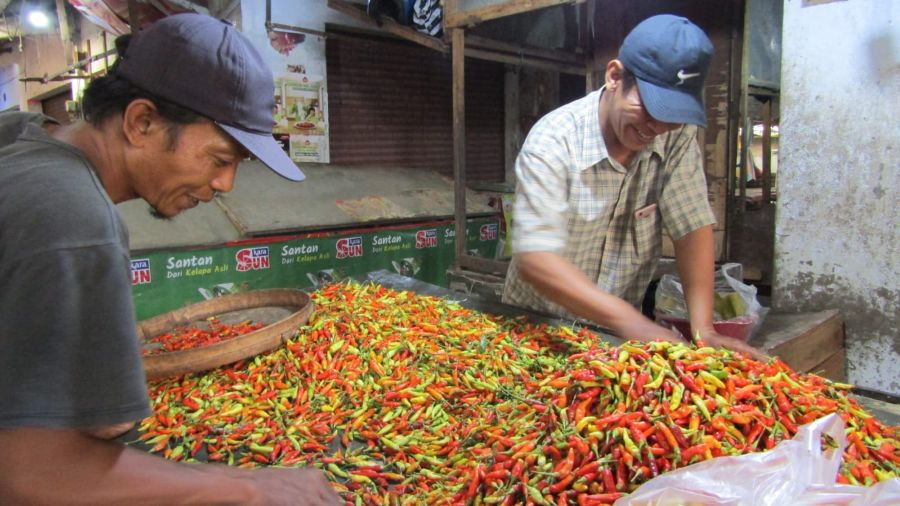 Selama Juli 2025, Komoditas Cabai Rawit Andil Indeks Fluktuasi Harga di Mojokerto Naik