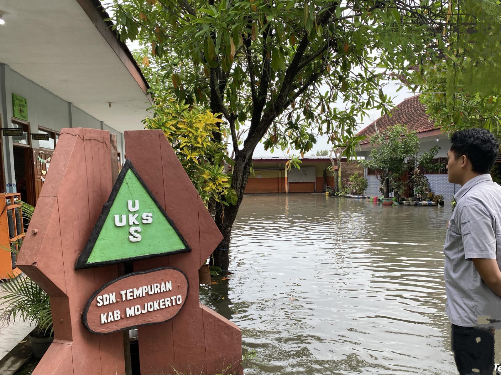  Puluhan Hektare Sawah dan Fasilitas Umum di Desa Tempuran Mojokerto Diterjang Banjir Sungai Avour Jombok