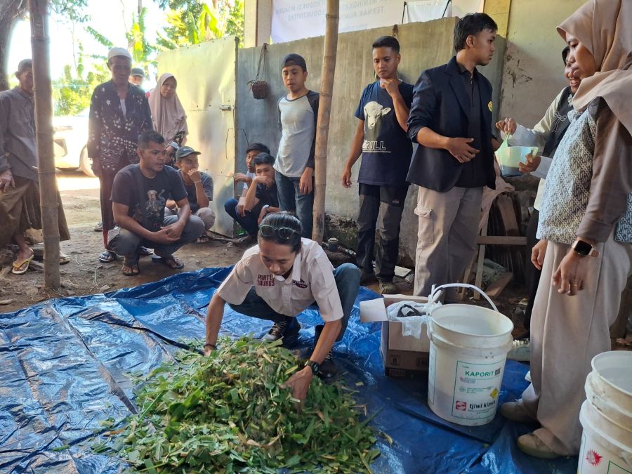 Jerami Melimpah Saat Panen, Dosen Unej Olah Jadi Pakan Ternak untuk Hadapi Kemarau