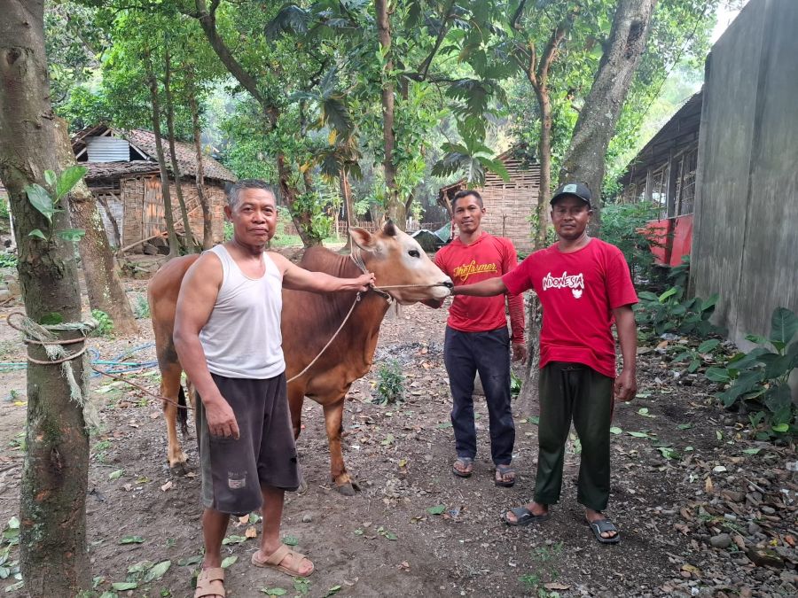 Dahlan Iskan Serahkan Kurban1 Ekor Sapi untuk Mushola Nurul Islam di Gondang Mojokerto