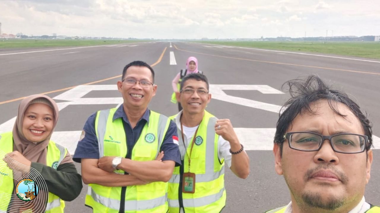 Ancaman Baru di Bandara Juanda: Selain Bird Strike, Kini Muncul Bat Strike