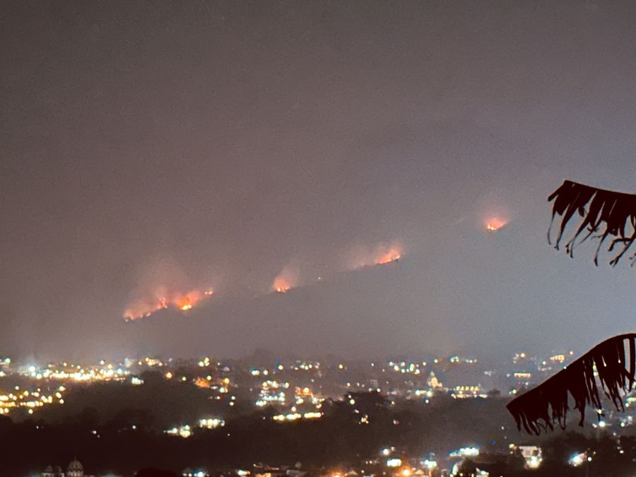 Karhutla Gunung Arjuno-Welirang Merambat ke Mojokerto, Pendakian Gunung ...