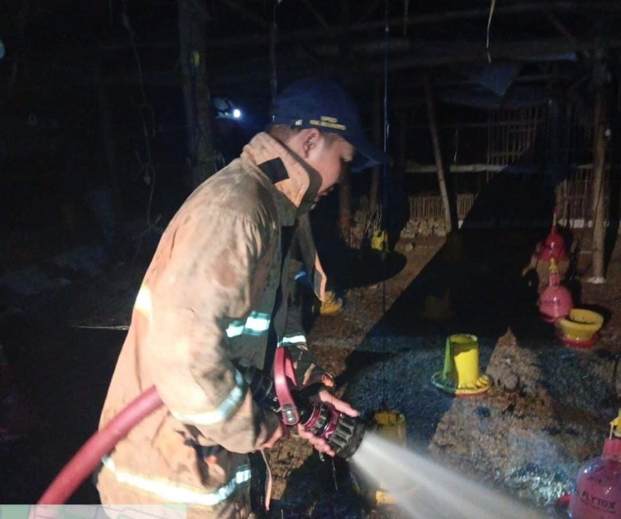 Kandang Ternak Ayam di Mojokerto Terbakar, Dua Unit PMK Dikerahkan