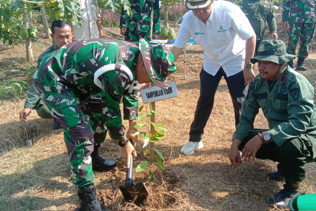 HUT ke 78 POMAD, Perhutani bersama Denpomda V/Brawijaya Tanam 500 Bibit Tanaman di Bukit Kayoe Putih Mojokerto