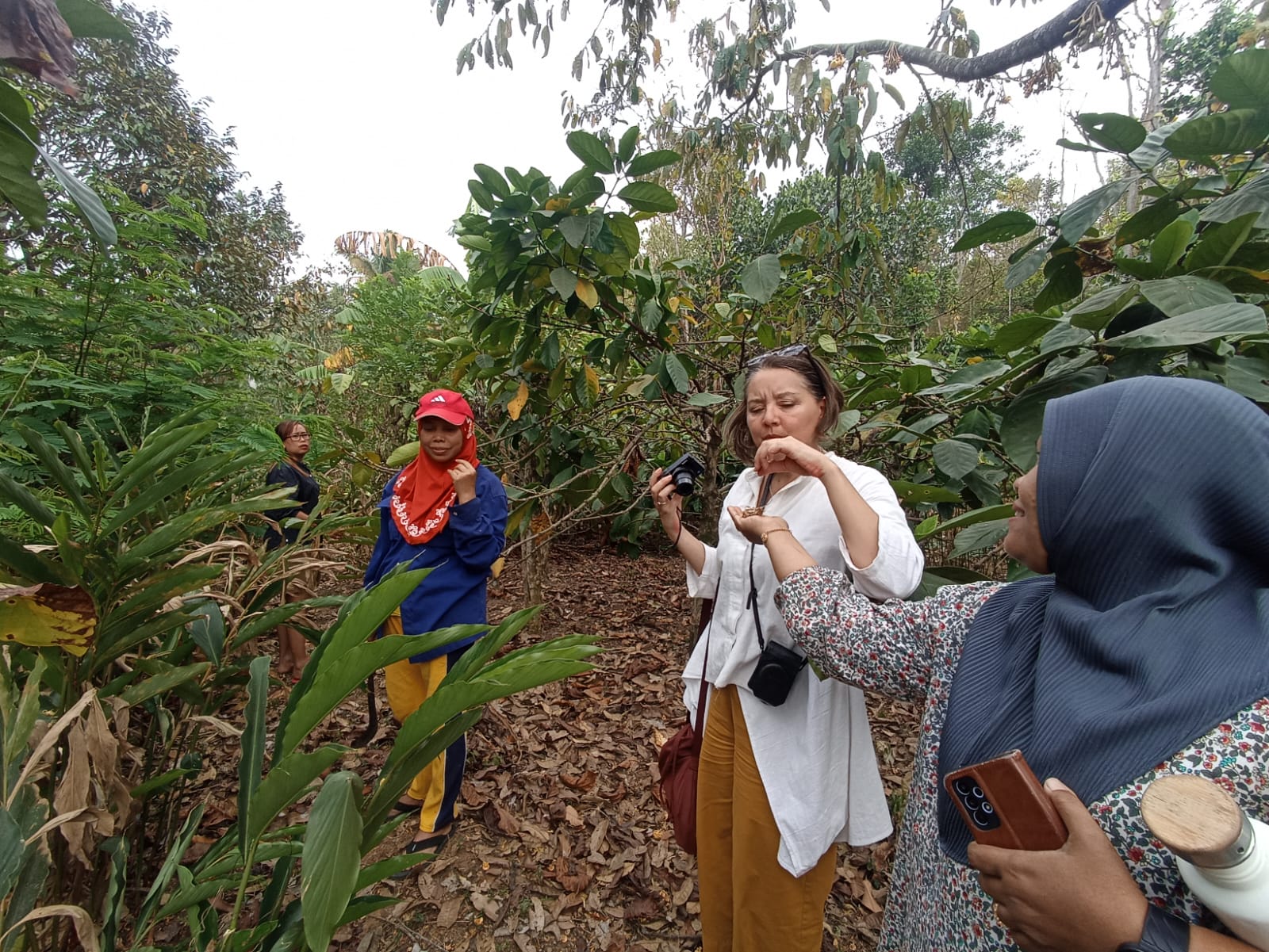 Kembangkan Wisata Berbasis Penelitian, KTH Kepuh Jombang Dapat Apresiasi Peneliti Belanda 