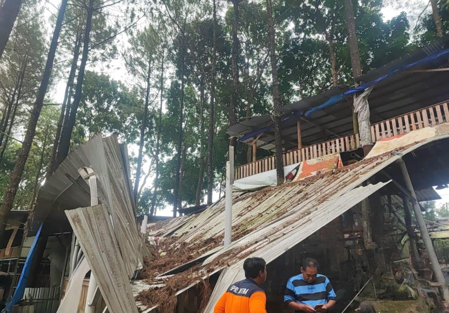 Pohon Tumbang Timpa Warung di Trawas Mojokerto