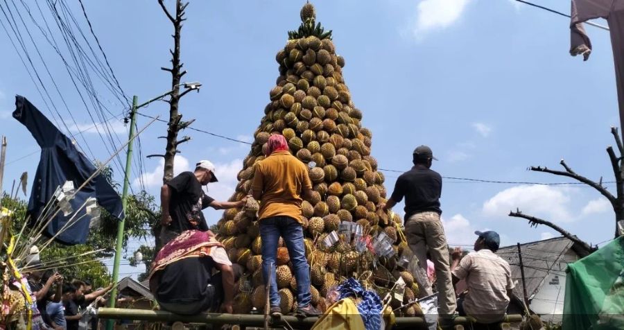 Seribu Durian di Lereng Lumbang, Tradisi Selamatan Desa Kronto Tetap Menggema