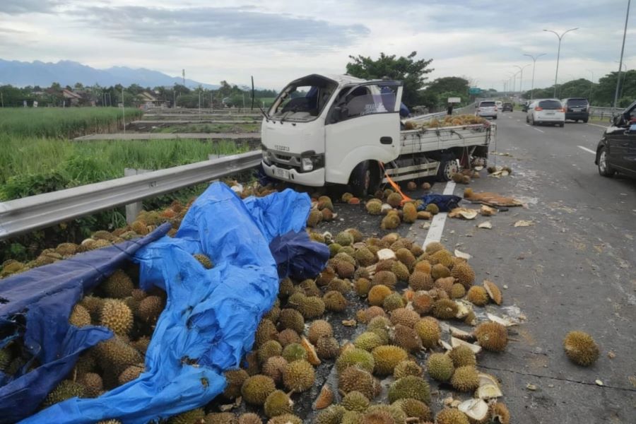 Pecah Ban Belakang, Pikap Muatan Durian Terguling di Tol Mojokerto Surabaya