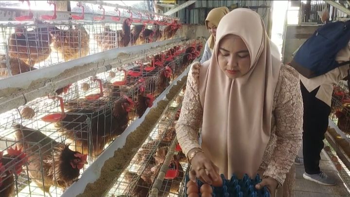 Dari Kandang Ayam ke Harapan, Cara Lilik Nur Fawiyah  Menghidupkan Semangat Kartini di Desa