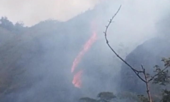 Luas Area Kebakaran Hutan di Gondang Mojokerto Capai 2 Hektare