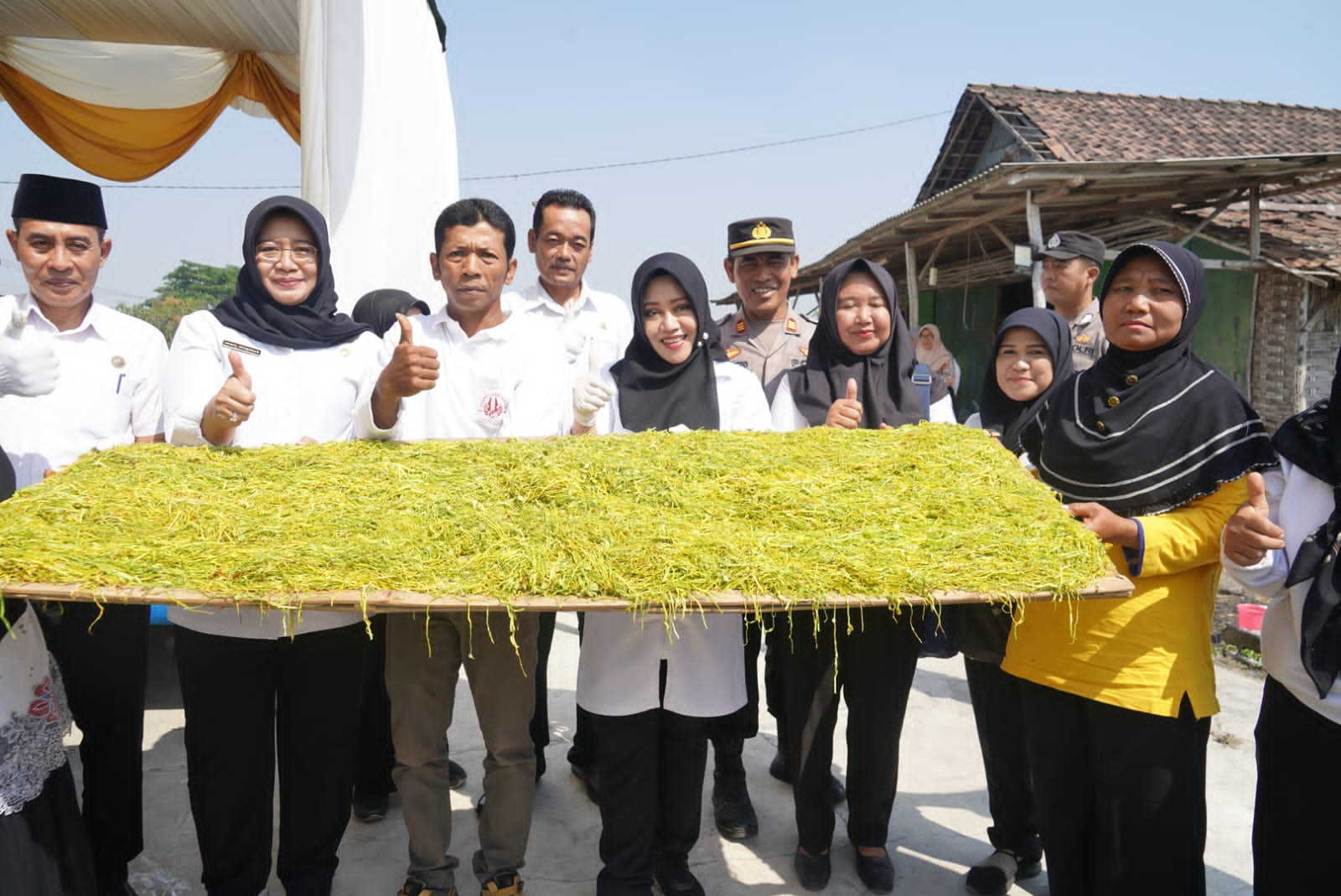 Harga Tembakau Meningkat di Mojokerto, Bupati Ingatkan Petani pada Kualitas