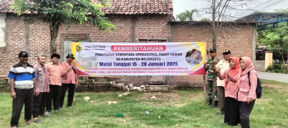 Ratusan Sapi di Mojokerto Terinfeksi PMK, 7 Pasar Hewan Ditutup Sementara