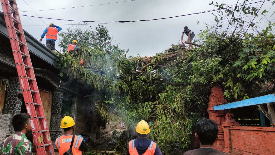 Angin Kencang di Jatirejo Mojokerto, Dua Rumah Warga Rusak Tertimpa Batang Pohon 