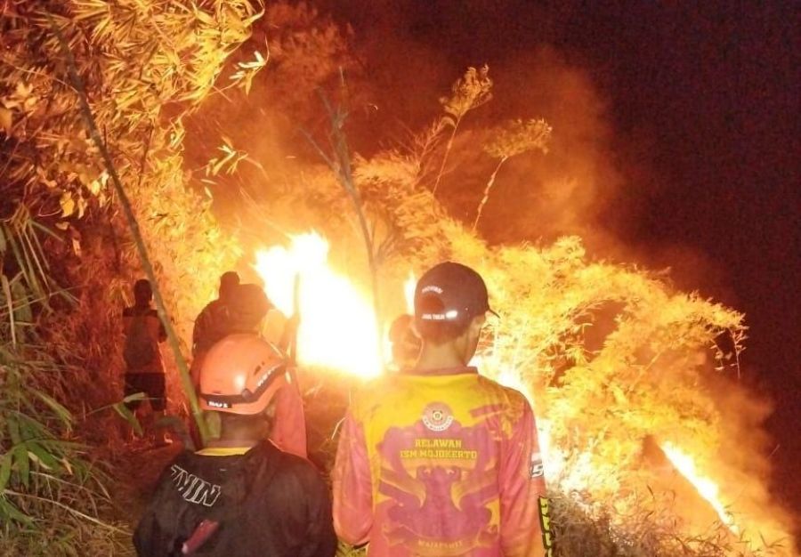 Karhutla Landa Kawasan Bukit Jengger Mojokerto, Api Padam Setelah 11 Jam