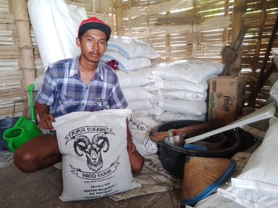 Olah Kotoran Kambing Jadi Pupuk Organik, Pemuda Asal Kota Mojokerto Raup Keuntungan Ekonomi 