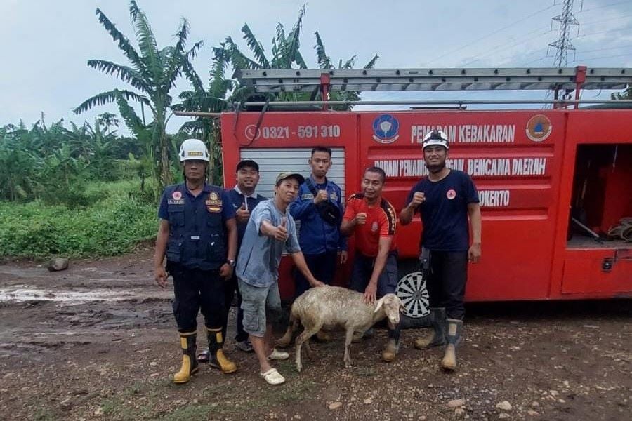 Kambing Tercebur ke Sumur di Ngoro Mojokerto, Berhasil Dievakuasi Damkar