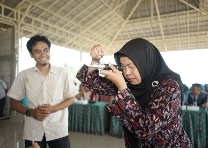 Dari Jahe dan Nilam, Desa Jatijejer Dibidik Jadi Sentra Minyak Atsiri