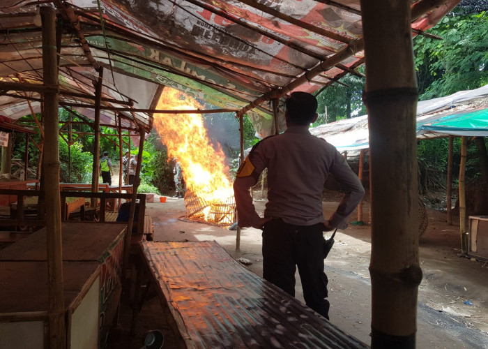 Petugas Gabungan Bongkar Arena Judi Sabung Ayam di Trowulan