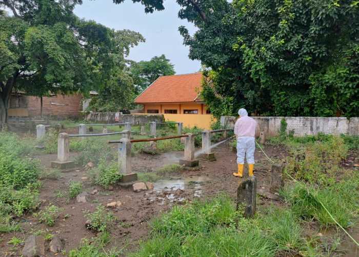 Tekan Penyebaran Wabah PMK, Pasar Hewan di Mojokerto Disemprot Disinfektan