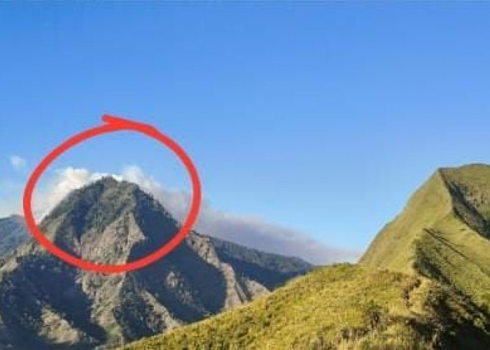 Api Masih Berkobar di Gunung Biru Mojokerto, Medan Terjal Jadi Kendala Utama Pemadaman