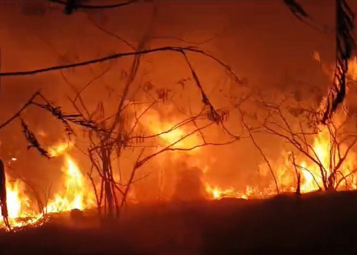 Gunung Penanggungan di Mojokerto Terbakar, 131 Personel Diterjunkan