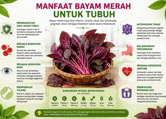 Bukan Sekadar Berwarna Cantik, Bayam Merah Simpan Segudang Manfaat bagi Kesehatan